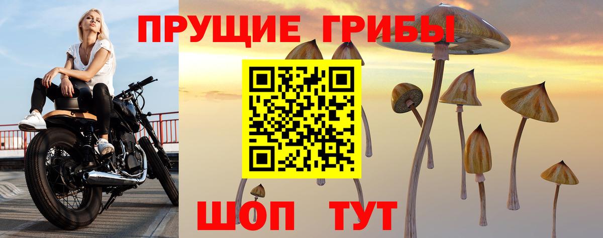 Галлюциногенные грибы Psilocybine cubensis  Вход с VPN  Электрогорск 